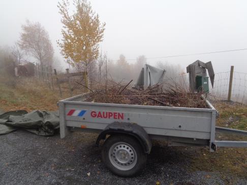 Figur 3: Alt kvistavfall ble fraktet bort fra lokaliteten (Foto: Kristine Heistad, 2017) VEIEN VIDERE Skjøtselen på de utvalgte lokalitetene bør videreføres for å opprettholde gode vekstvilkår for