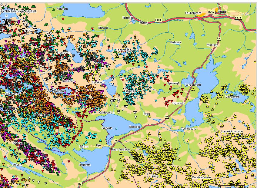 Områda kring Sæsvatn er og særs viktige som vinterbeiteområde for villrein. Tilbakemelding frå SNO er at områda rundt Sæsvatn og Sæsnuten er eit av dei viktigaste vinterbeita nord for Blåsjø.