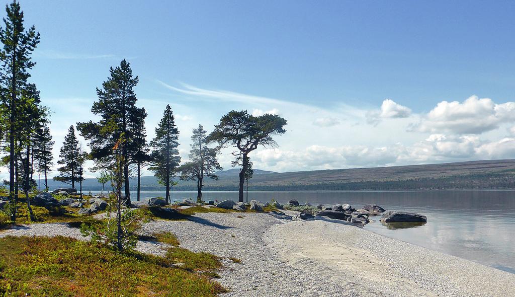 Overnatt i telt eller besøk Røvollen (selvbetjent DNT-hytte 4 km fra Røa). Svukuriset er et flott utgangspunkt for mange fine turer i nasjonal parken. Gå fra Revlingen (4 km) eller Haugen (9 km).
