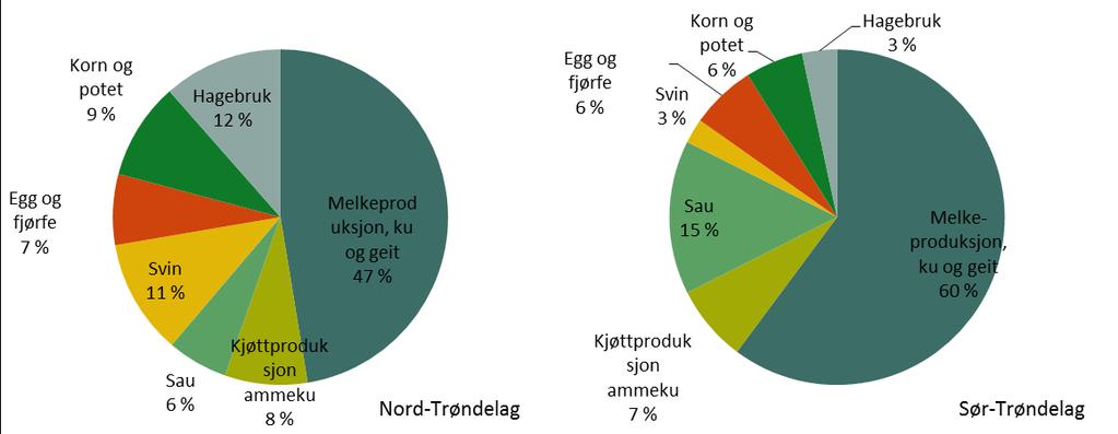 utgjør bruttoproduktet fra hagebruk 12 prosent og fra svinehold 11 prosent. Sauehold er nest størst i Sør-Trøndelag med 15 prosent, deretter følger kjøttproduksjon med ammeku med 7 prosent. Figur 4.