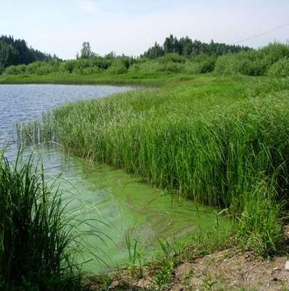9 På vei mot bedre vannmiljø Aurskog-Høland er den øverste av kommunene i Haldenvassdraget og hva Aurskog-Høland gjør av tiltak i forhold til utslipp av næringsstoffer påvirker i stor grad