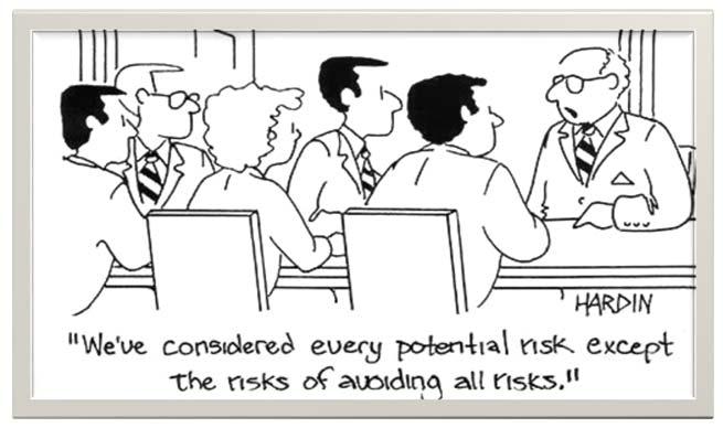 include [..] results of risk identification Risk management requirements?