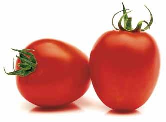 Grønnsaker 44 45 DRUETOMAT Mini Star F1 179063 Standardfrø Mini-plomme tomat med fruktvekt 10-12 gram. Meget god smak. Sorten bør podes.