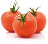 PLOMMETOMAT Romana F1 ToMV Fol:0,1 Va 175791 Standardfrø Stor plommetomat med fruktvekt 100-120 gram. Egner seg som klase-tomat og løstomat.