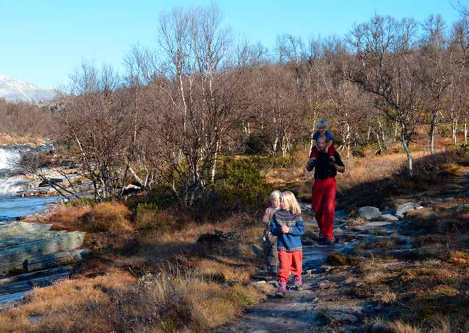 Ikke tilrettelegge i områder som leder inn mot villreinområdet i nord-vest. Samarbeide med destinasjonsselskapet om informasjon om opplevelser i og ved sentrum i tråd med kommunikasjonsplanen.