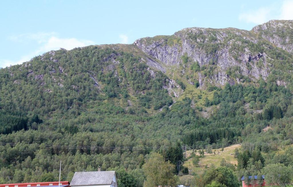 Figur 29: Fotografi som viser den skogkledde fjellsida bakom (nord for) planområdet.