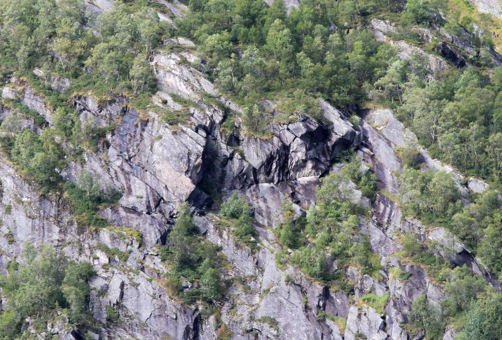 Figur 33: Fotografi frå nordaustre del av fjellsida like over steinsprang-/skredvifta.