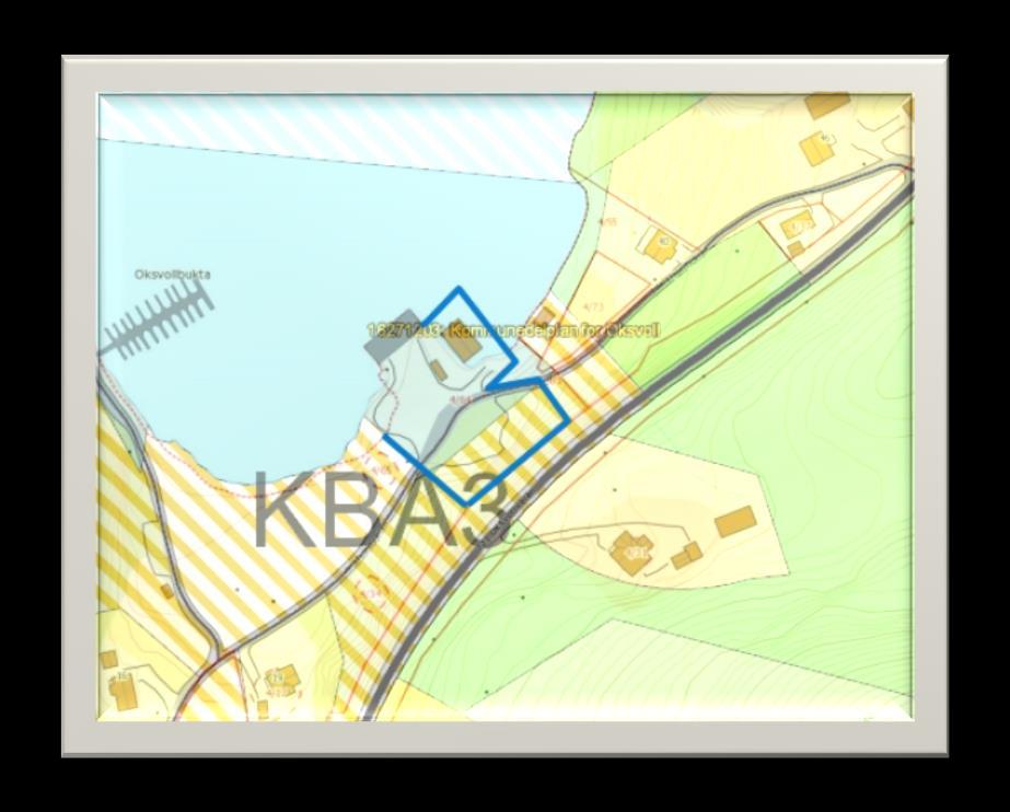 Utsnitt fra kommuneplanens arealdel Dagens bruk av planområdet Eiendommen består i dag av kaiområde og et gammelt naust.