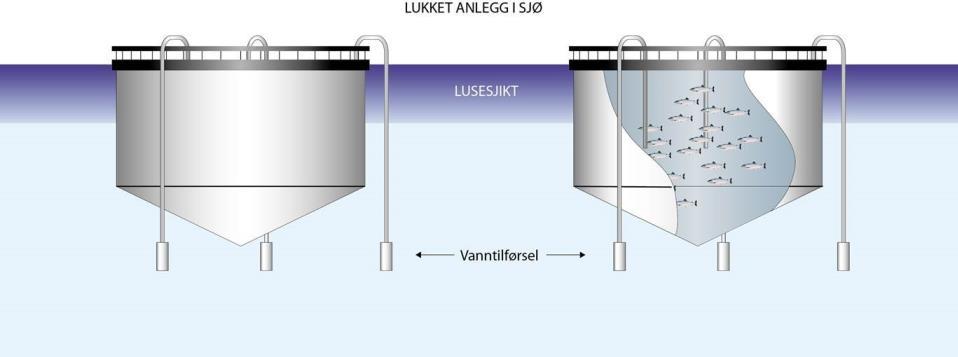 Elektrisk gjerde Kort beskrivelse: Hindrer kontakt mellom lus og