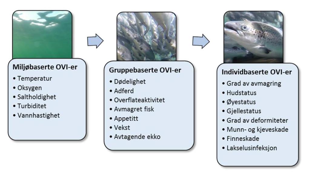 FISHWELL Håndbok Del B Nedsenkbar