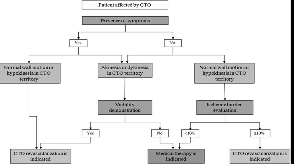 Clinical update Appropriateness of percutaneous revascularization of coronary chronic total occlusions: an
