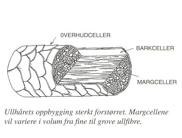 Struktur/oppbygging Dekkhår og bunnull Toving Fibrene flettes pga skjellstrukturen Superwashbehandling Mikrofilm Glatte fibre Redusert