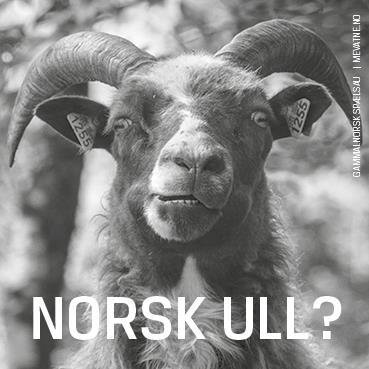 Fredag 21. april: Norsk ull best i verden! Øke kunnskapen og entusiasmen rundt den norske ulla. Norsk ull som konkurransefortrinn?