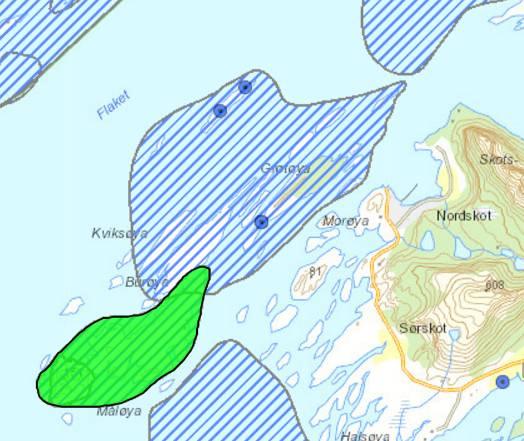 Figur 5: Kart over hekkeområder for ærfugl (merka med grønt) ved Grøtøyleia. Kartene er henta fra Miljødirektoratets Naturbase.