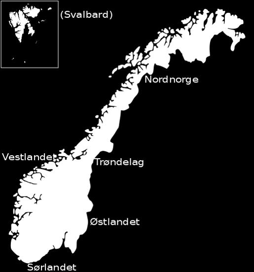 Paralleller hotellbransjen versus offentlig og kommunal sektor Førstelinjetjenester sentralbord, servicetorg, informasjon, resepsjon Veiledning om ulike tjenester, tilbud Kunnskap om anskaffelser,