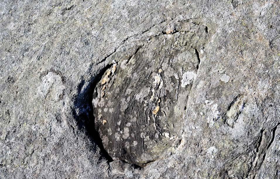 Lavastraumar av granitt trengde seg igjennom sprekksoner i eit lag av overliggjande gabbro og smeltemassane reiv med seg brotstykke av gabbro på vegen opp mot det som då var
