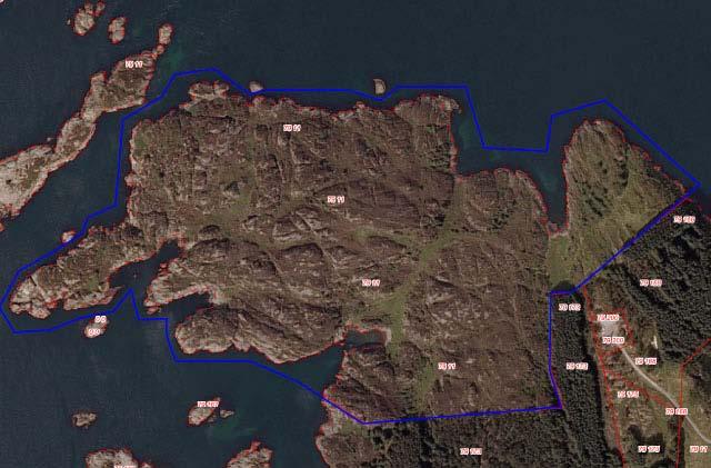 Flyfoto som viser avgrensinga av Visnes nord. Lokalitetsomtale Beliggenhet/avgrensing/naturgrunnlag: Området ligg nord for gruveområdet på Visnes og utgjer den nordvestre delen av Visnes-halvøya.