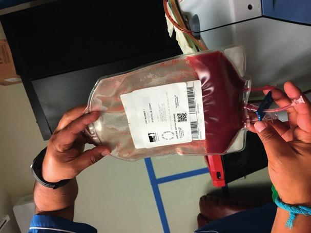STAMCELLEBEHANDLING transplantasjon, skal behandles på Haukeland, som har transplantert noe over 30 MS-pasienter de siste årene. De som randomiseres til Lemtrada-gruppen, behandles lokalt.