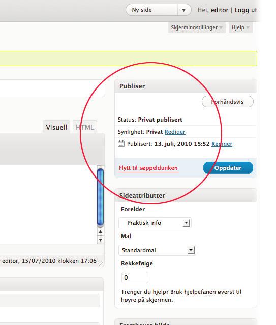 For å ikke fylle opp nettstedet med tester kan du nå enten slette den siden du har lagd, eller endre publiseringsstatus på den. Du kan for eksempel redigere "Synlighet".
