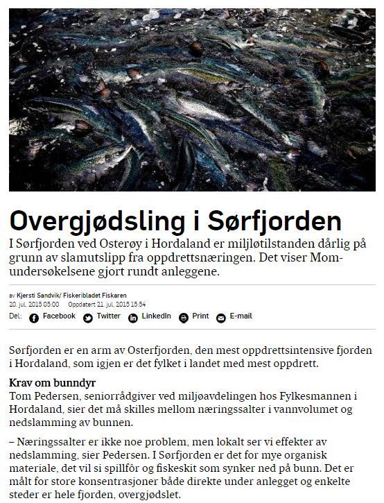 Forundersøkelse