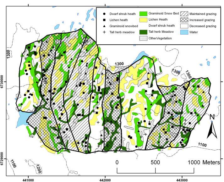 Long term and large scale grazing