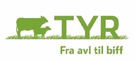TYR organisasjonen for alle storfekjøttprodusenter uavhengig av rase eller krysningsdyr, fremfôring eller livdyrsalg.