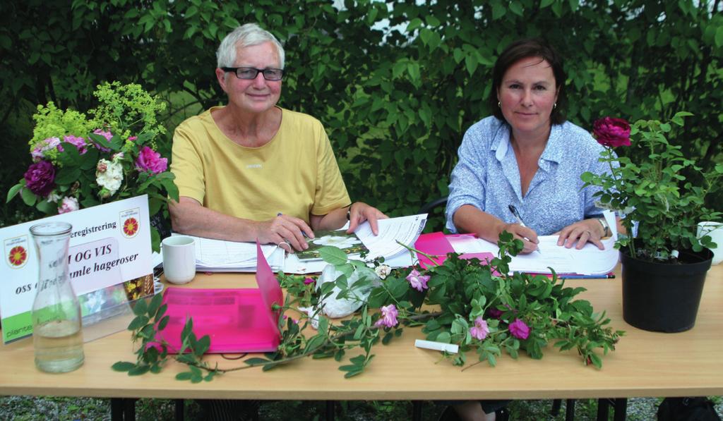Roseregistrering Kongsvinger 2010. Unni Dahl Grue og Eva Vike fra IPM/UMB. FOTO: ANITA KROK av mottatte roser er mye dyrket og er som oftest greie å bestemme.