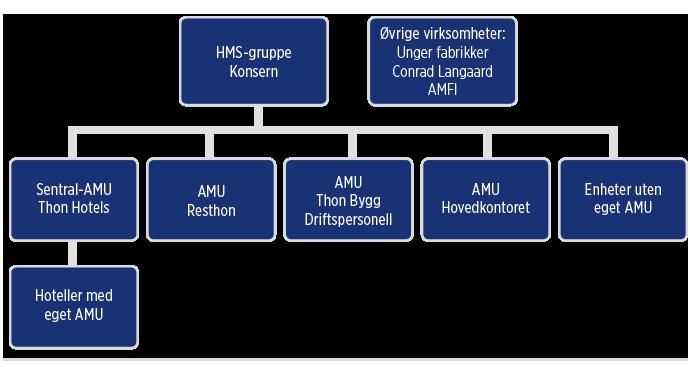AMU-organisering Konsernets ledergruppe er konsernets øverste organ for HMS saker. De sentrale føringene tas videre i Arbeidsmiljøutvalgene (AMU) i de ulike divisjoner og enheter.