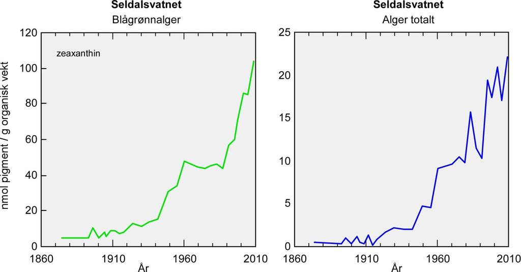 Eutrofiutvikling Foto: