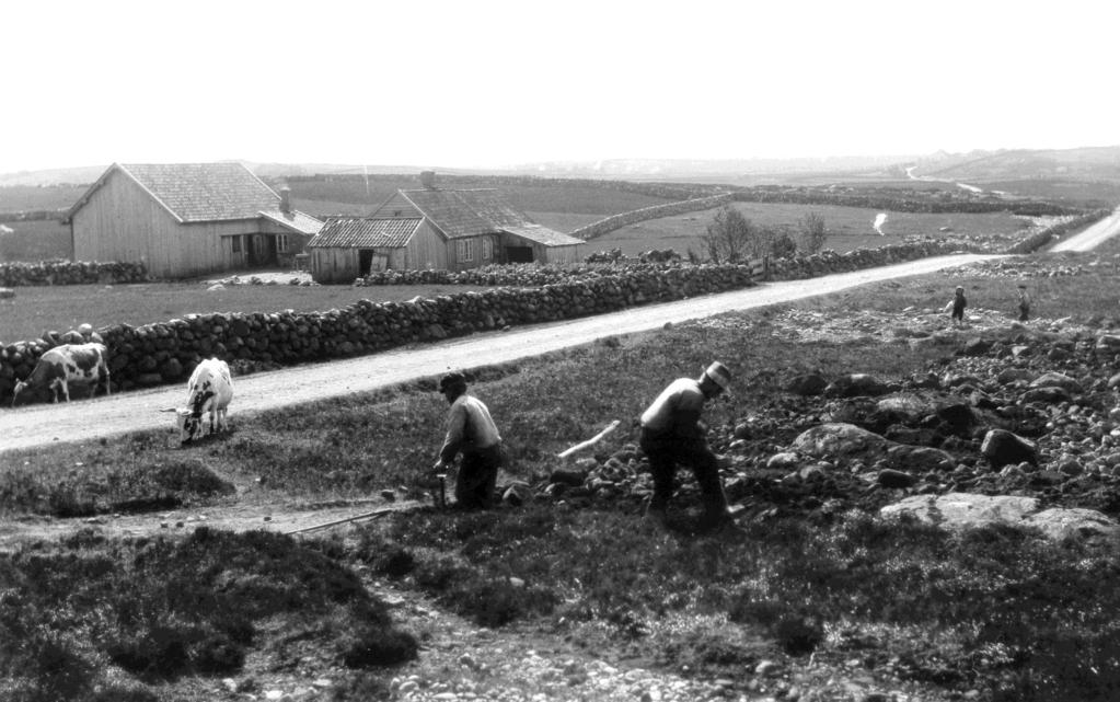 Jæren 1908 Foto: Anders B.