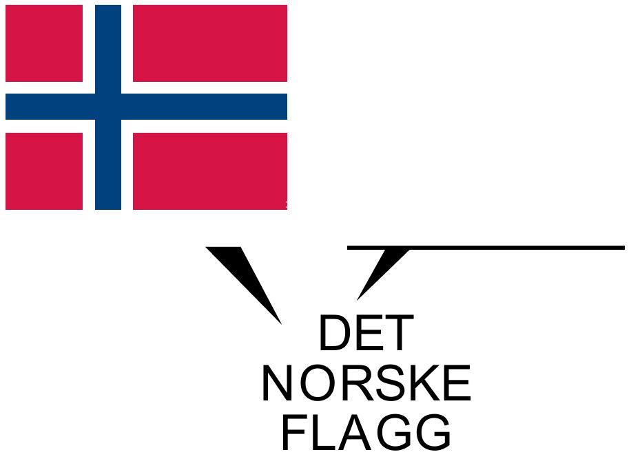 FLAGGREGLER KUNNSKAP & KVALITET SIDEN 1903 Det norske flagget må alltid behandles med den aktelse og ærbødighet vi skylder vårt nasjonalsymbol.