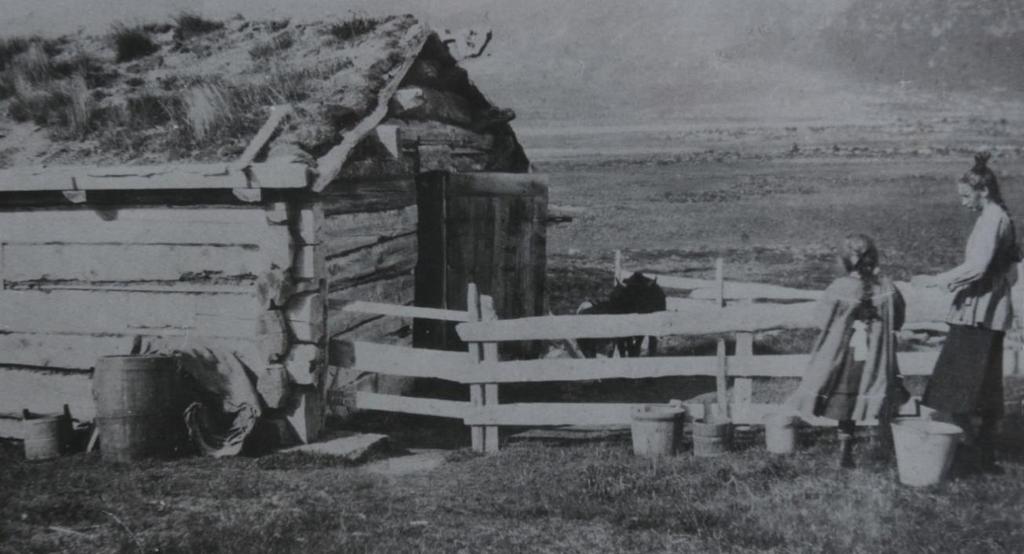 Gamalt bilde ved fjøset til Nær-Siem, truleg på 1930-talet. Budeiene er i gang med kveldsstellet. Kvita ID: BN00068625 F291 F303 (to område) Søre Hagestande Seterkve kartlagt som naturbeitemark (D04).