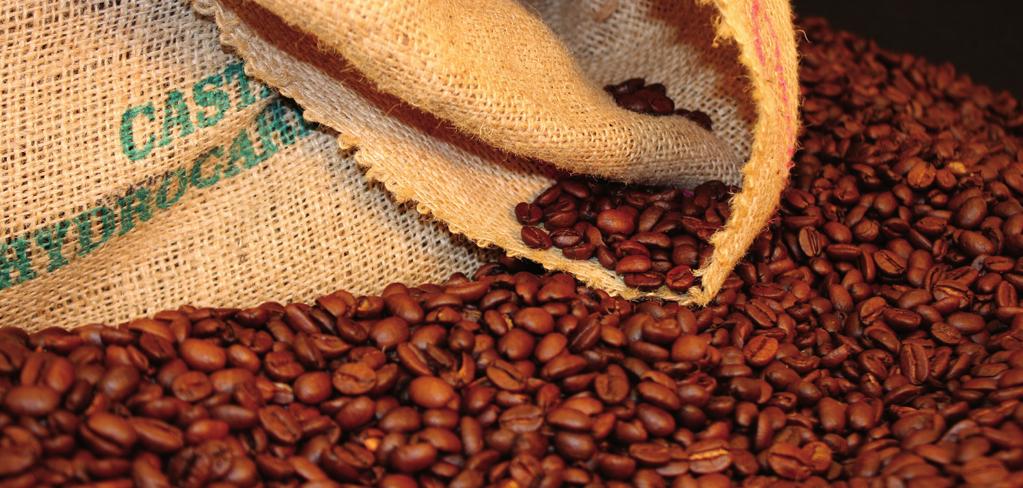 Kaffe dyrkes i det brede tropiske beltet rundt ekvator. Kaffebønnene kommer fra kaffebæret som vokser på kaffetrær.