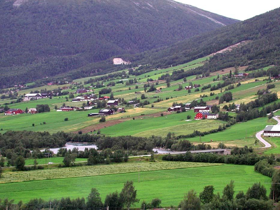 6 KONSEKVENSER OG TENDENSER Reppen vest for Marlosbrua. Reppen og Ramstadstrondi ligger begge på Solsida, og er blant de mest fruktbare jordbruksgrendene i Skjåk.