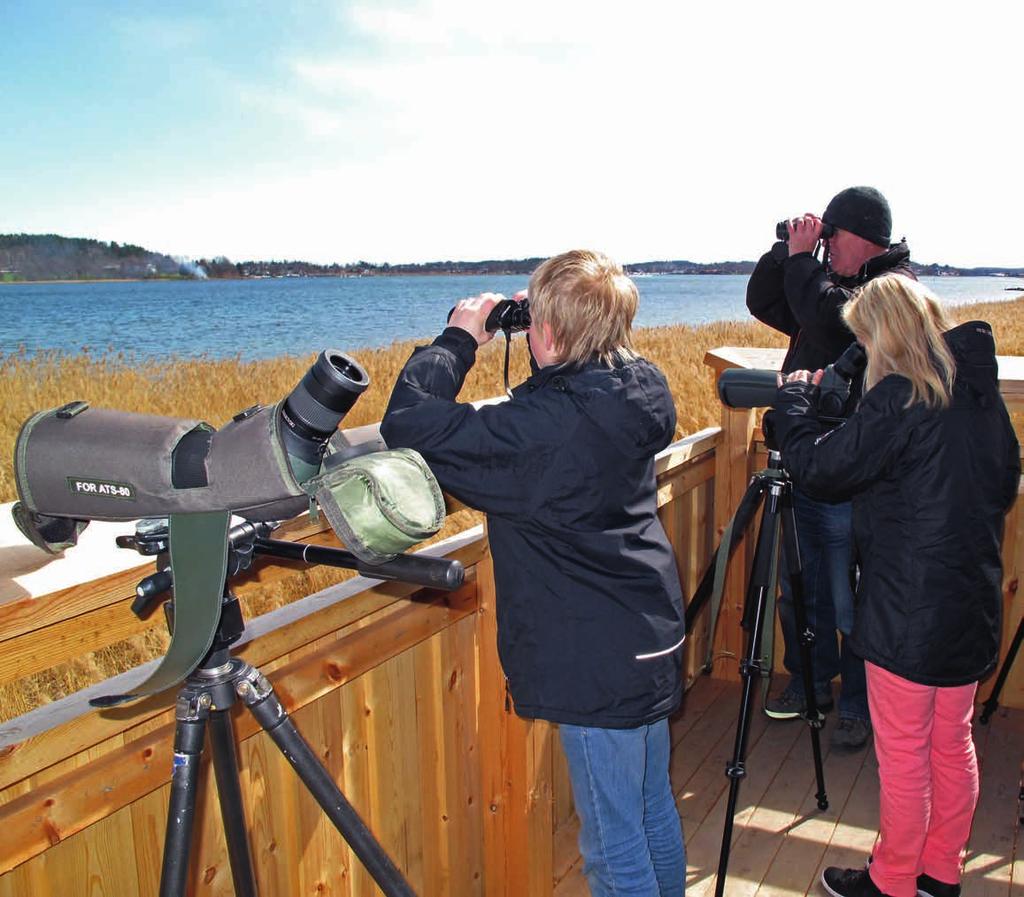 Presterødkilen har to fugleobservasjonstårn. Tårnet i sørvest ble åpnet i 2009. Også mer stasjonære fugler trives i den grunne kilen.