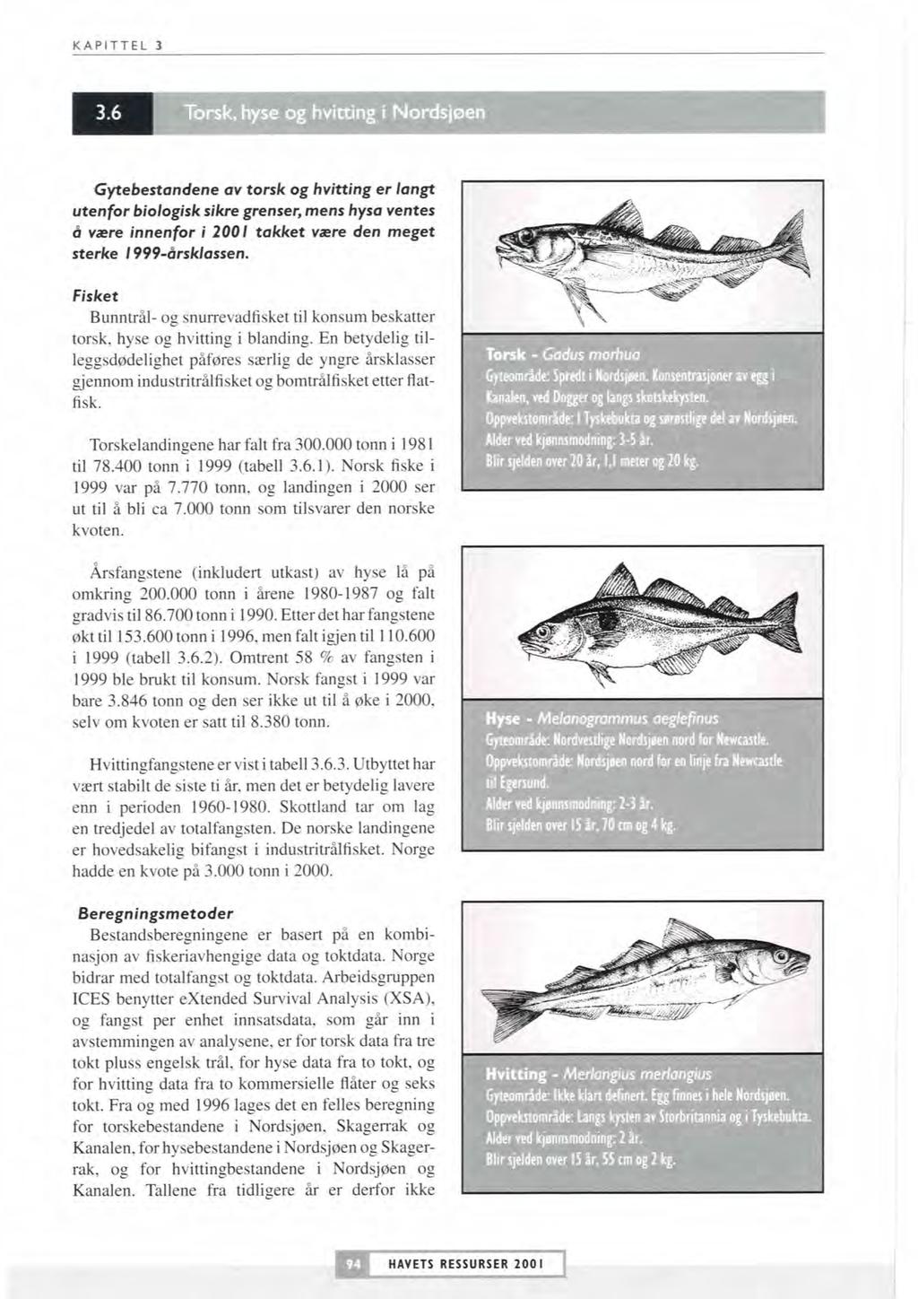 Torsk, hyse og hvining i Nordsjøen I Gytebestandene av torsk og hvitting er kngt utenfor biologisk sikre grenser, mens hysa ventes 8 være innenfor i 2001 takket være den meget sterke 1 9994nWassen.