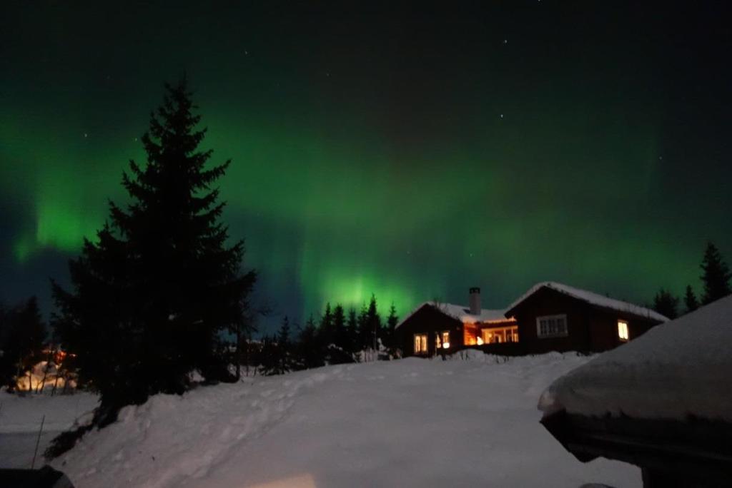 Trysil kommune fakturerer følgende avgifter: Eiendomsskatt Slamtømming Spørsmål vedrørende kommunale avgifter rettes direkte til kommunen på tlf.