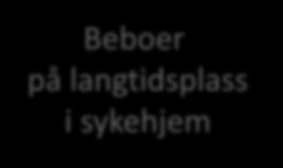 ) Beboer på langtidsplass i sykehjem Spl. setter opp beboer til LMG på legevisitt og avtaler ev. tid med farmasøyt Praktisk etterarbeid i form av bl.a. informasjon, dokumentasjon og observasjon (lege, spl.