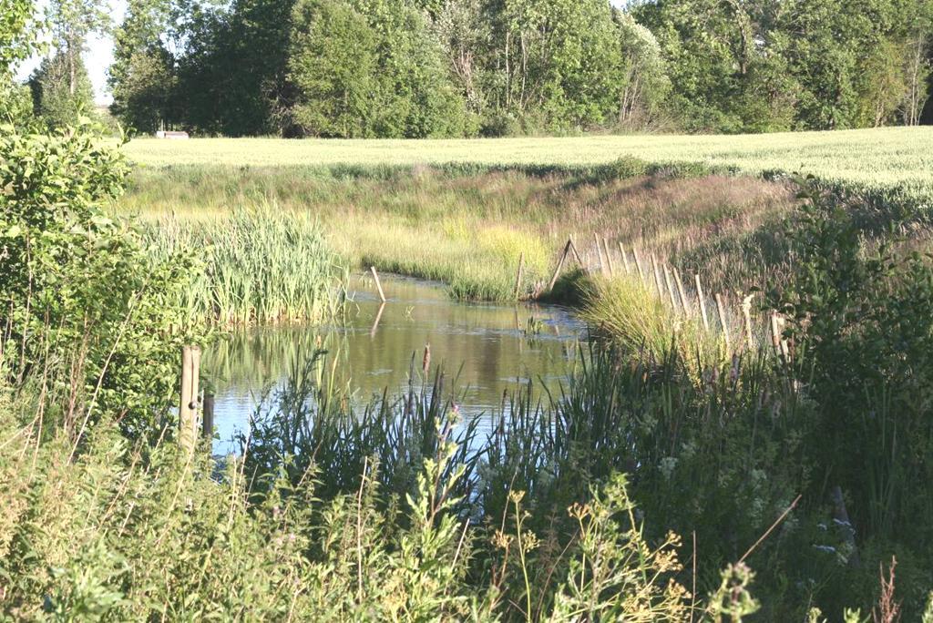 Enkelte år gjorde Vestfold Interkommunale Vannverk (VIV) forsøk på utpumping av fosforrikt bunnvann i Akersvannet, i håp om at rent grunnvann skulle erstatte det næringsrike bunnvannet.