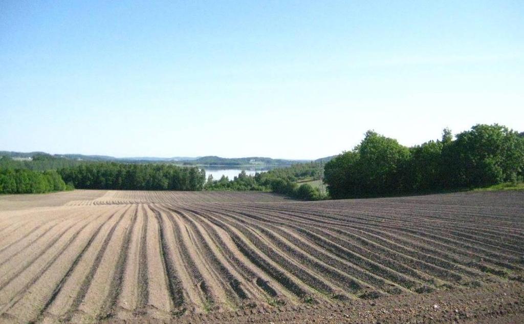 3 BRUKERINTERESSER OG FORVALTNINGSMÅL 3.1 Jordbruk, skogbruk og beite Rundt reservatet dominerer intensivt drevne jordbruksarealer (figur 10).