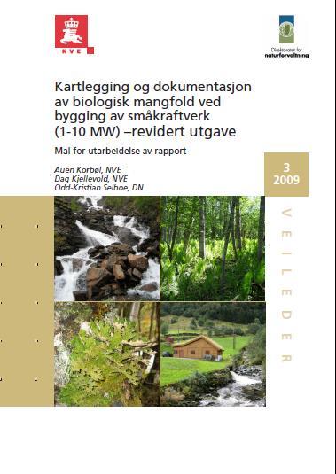 Kartlegging og dokumentasjon Egen veileder for dokumentasjon av biologisk mangfold Første gang i 2004, oppdatert i 2007 og 2009 Interne