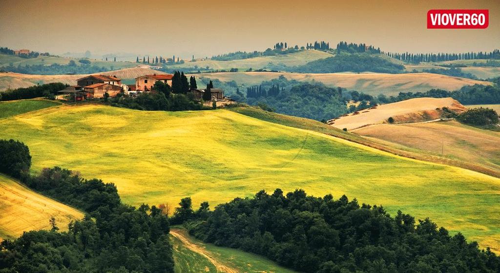 1 TOSCANAS HJERTE En reise til Toscana er en fest for sansene! Den vakre regionen er verdenskjent for sine maleriske landskap, olivenlunder, vinranker og vakre kunstskatter.