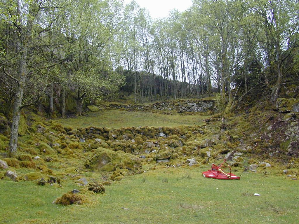 Område 8. Torsdagsøy 1222-22 Ein teori er at navnet Torsdagsøy kjem frå Torvstakkøy. Den er på 950 daa, med 20 daa overflatedyrka jordbruksareal og ca 9 daa lauvskog.