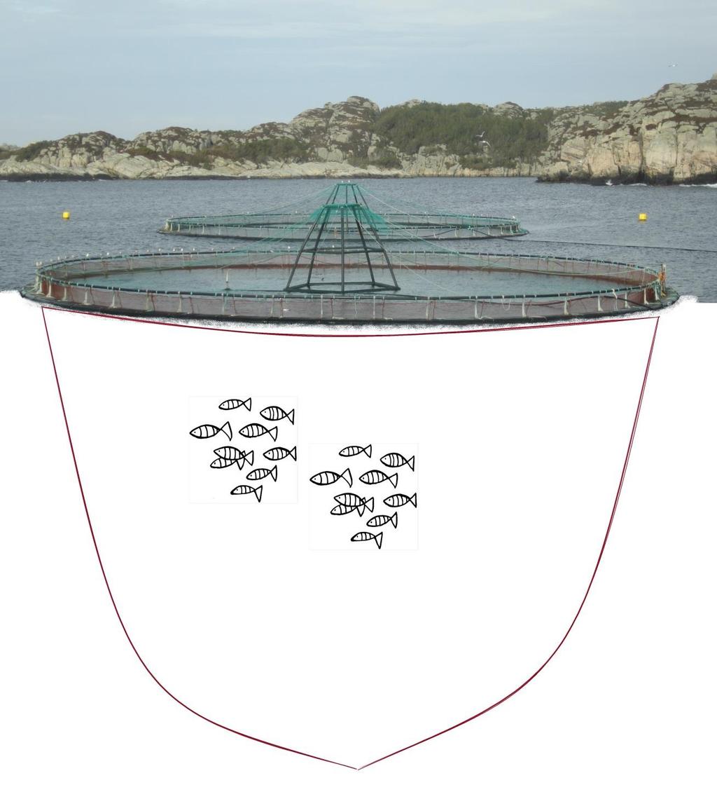 Utslipp fra fiskeoppdrett Næringssalt Parasitter og sykdommer