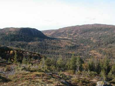 Bilder fra området Oksvolldalen Oversiktsbilde over vestre del