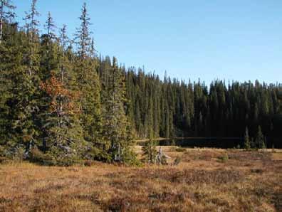 Forbordsfjellet N.