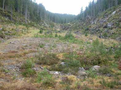 Bilder fra området Bjørnstrupen Bjønnstrupen med utsyn østover, dalbunnen og sørsida av dalen