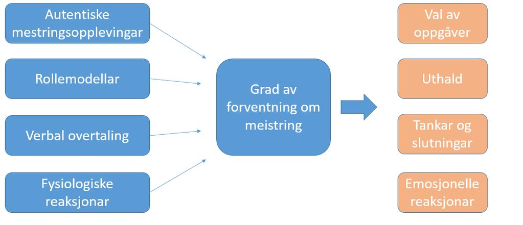 Figur 2. Kjelder og effektar av forventning om mestring, henta frå Manger et al. (2013; s. 258).