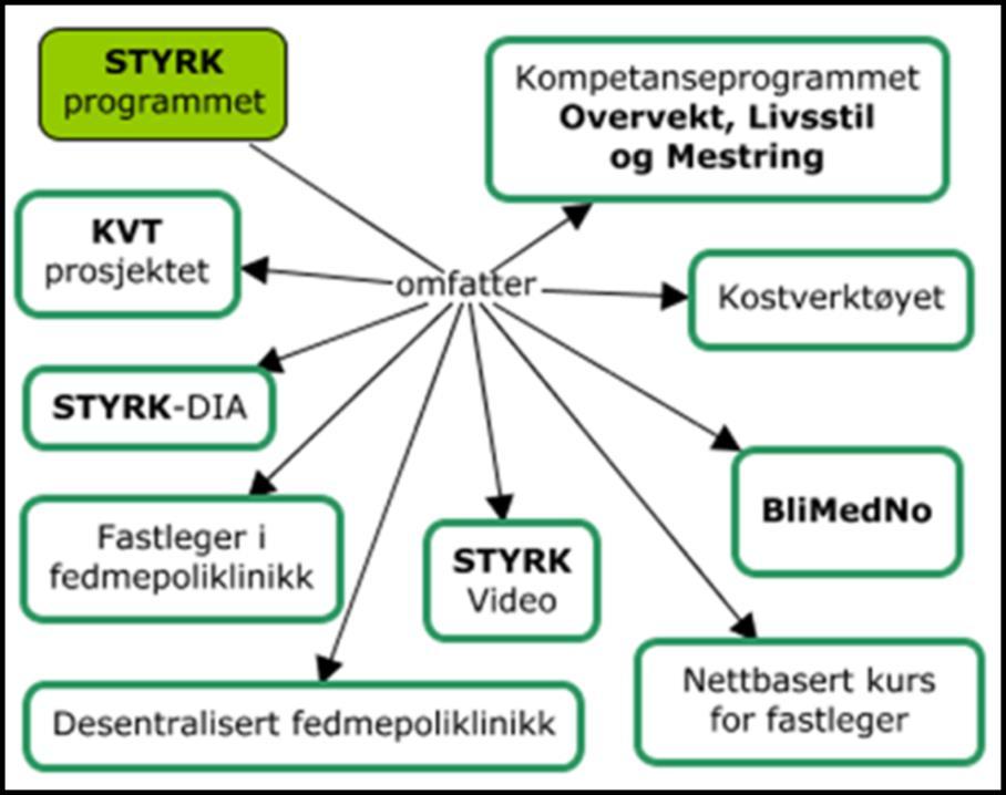 STYRK-programmet: bidra til utvikling av en bedre helsetjeneste gjennom å styrke kompetanseoverføring og samhandling mellom primær- og spesialisthelsetjenesten