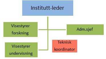 For å sikre at oppgaver som tillegges stillingen blir godt ivaretatt, bør koordinator tilsettes - ikke utpekes.